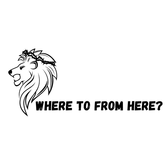 Where to from here?